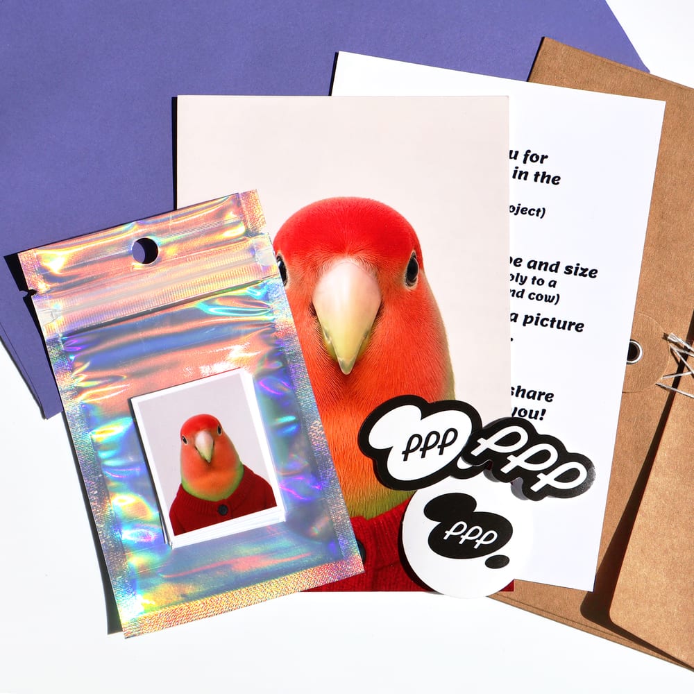 PPP Standard Set: prints, stickers and envelope